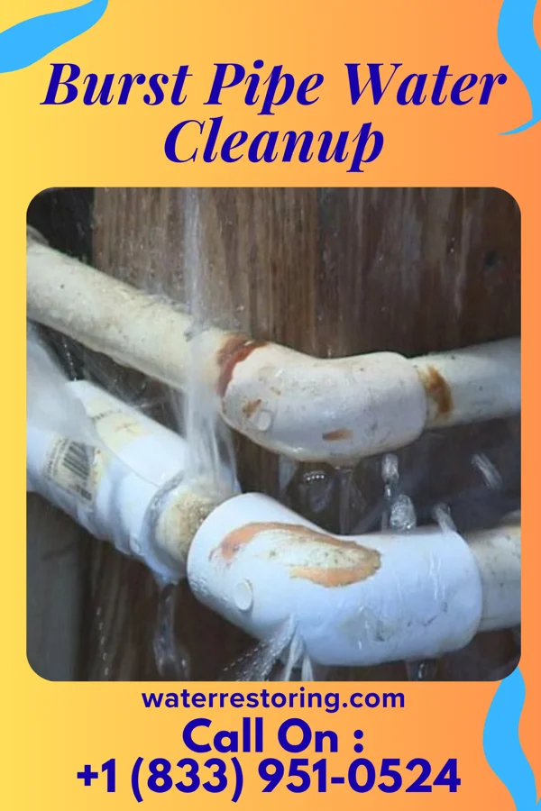 Burst Pipe Water Cleanup in Evart, MI