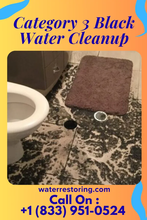 Category 3 Black Water Cleanup in Evart, MI