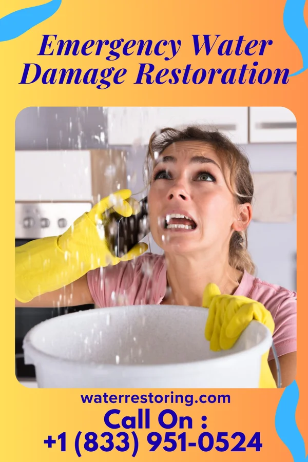 Emergency Water Damage Restoration in Evart, MI