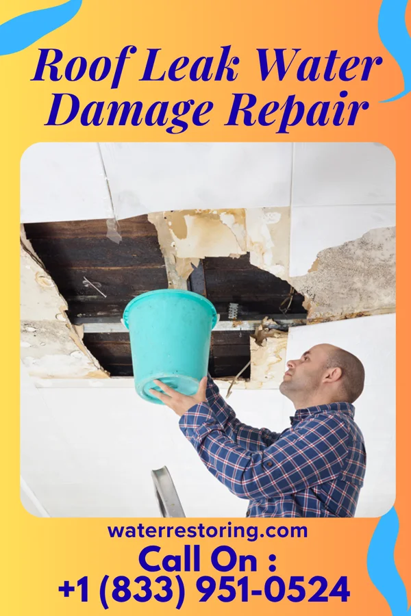 Roof Leak Water Damage Repair in Evart, MI