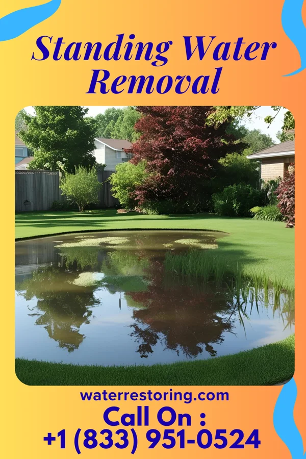 Standing Water Removal in Evart, MI
